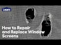 How to Repair Replace Window Screens Guide