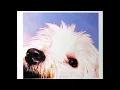 MOLOKO - "Sing It Back" (Herbert's Tasteful Dub) [1999]