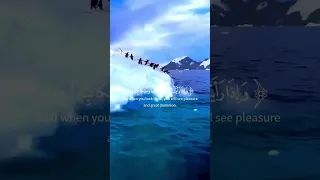 عينا فيها تسمى سلسبيلا محمد اللحيدان قران كريم سورة الانسان تلاوة خاشعة 