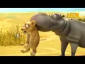 Download Lagu Youth Serum | Leon the Lion | 35' Compilation | Crazy animals