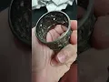 My Victorian Era Napkin Ring Collection