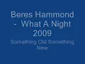 Beres Hammond    What A Night  2009