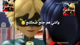 اجمل حالات واتس اب حب وغزل للقط الاسود والدعسوقه 