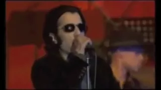 يا منفي   رشيد طه   شب فاضل   شب خالد          كلمات دندنها