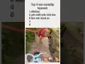Download Lagu top 5 asuuu paling lucu🤣😂😂 #funny #ngakak #lucu #jalanyangjauhjanganlupapulang