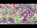 Download Lagu Jarico - The Landscape [ MPM Remix ]