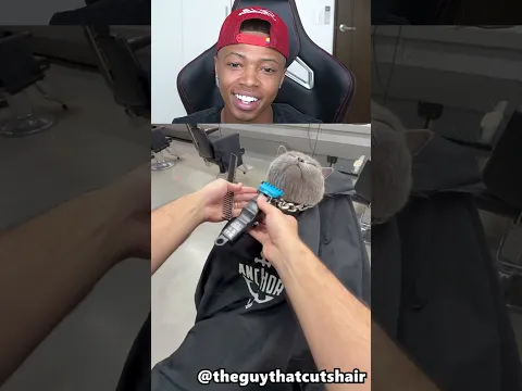 Cat barber