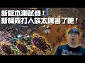 Download Lagu 【星海爭霸2】久違的下場打比賽 ! 測試一下新橘霧打人族到底有多厲害 !(WardiTV PTR OpenCup)