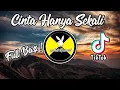 Download Lagu DJ CINTA HANYA SEKALI REMIX TERBARU 2021