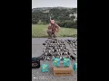 Download Lagu Turdus (song trush) Hunting in Cyprus - Kıbrıs ta Cikla Avı (2020-5) AVCI CARTRIDGES