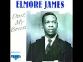 Rollin And Tumblin - Elmore James