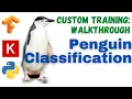 24 Penguin classifier TensorFlow Tutorial