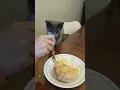 Lagu Bubbles the cat tries to snag an egg. Russian Blue. chat gato חתול Katze 貓 kucing قط Pls Subscribe.