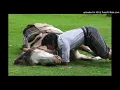Today's Tango Is... El Corralero - Hernán Figueroa Reyes
