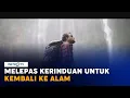 Download Lagu Back to Nature