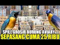 Download Lagu CUMA DISINI ! BUKA BUKAAN HARGA GROSIR DAN PARTAI BURUNG AVIARY DIKIOS PASAR BURUNG PRAMUKA
