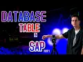 How to Create Database Table in SAP SE11 Full Tutorial SAP ABAP Data Dictionary Explained