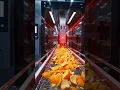 Satisfying 3D Factory ASMR How Orange Peels Turn Into Vitamin C Tablets