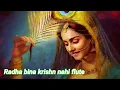 Download Lagu Radha bina krishn nahi (flute music)