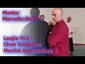 Download Lagu Master Marcello Sidoti: Laojia Yilu Chen Taijiquan Martial Applications. Workshop 2023