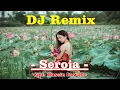 Download Lagu DJ Terbaru 2025 || Bunga Seroja  Cipt  Husein Bawafle || Dijamin Bergoyang.