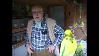                                            دندنها
