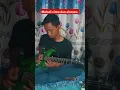 Download Lagu Melodi cinta dan airmata - fendik Adella | cover gitar version by ame #belajargitar