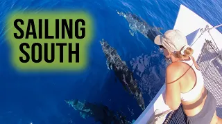 Day sailing on a HOMEBUILT Catamaran (Sailing Popao) Ep.86