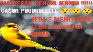 Download Masteran Kenari JERNIH !!!! GACOR POOOOLLLLLL Jeda 3 Menit. MP3