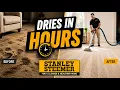 Professional Carpet Cleaning in Sarasota FL Deep Clean That Dries Fast