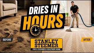 Professional Carpet Cleaning in Sarasota FL Deep Clean That Dries Fast