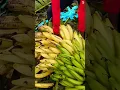 Download Lagu Panen buah pisang dengan hasil yang sangat memuaskan #shorts