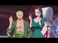 Who has to go with Luffy raffle draw English DUB