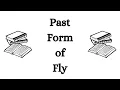 Past Form of Fly in English Fly Past Form in English