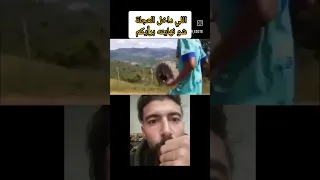 نزل فالغابة الأخ اشتركوا بقناتي Shorts Stitch Shortvideo Viral اكسبلور كوميديات Duet 