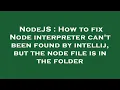 NodeJS How to fix Node interpreter can t been found by intellij but the node file is in the folde