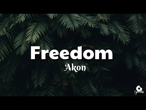 Download MP3 Akon - Freedom (lyrics video)