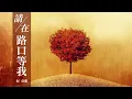 『經典老歌』何春蘭（He Chun Lan）-請在路口等我（QING ZAI LU SHANG DENG WO）【我們依然相逢，就不必珍惜這一句珍重。】|动态歌词lyrics 高音质|