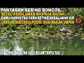Download Lagu CARA MENGUKUR KE DALAMAN AIR SAAT MANCING \u0026 CARA MENGETAHUI POSISI IKAN MAKAN || MANCING NILA