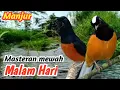 Lagu “Masteran Murai Batu Viral: Suara Air + Air Terjun – Bonus Isian Tembak \u0026 Ngeroll