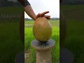 Lagu Very good coconut peeling skills #cuttingskills #coconut