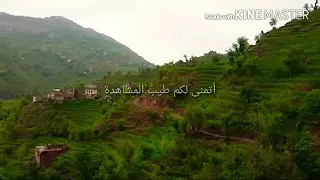 يا غريب الوطن يكفيك غربه وإسفار ايوب طارش   دندنها