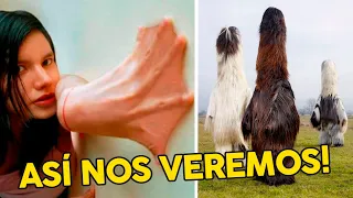 La REVELACIÓN Más BESTIA QUE VERÁS! NO LO CREERÁS! Datos Curiosos (Cosas Que No Sabías hace 5 min)