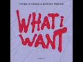 What I Want - Fedde Le Grand & Quînten Mertns