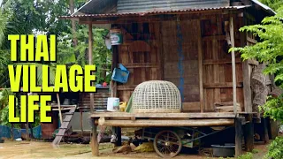 VILLAGE LIFE IN THAILAND What Its Like In A Small Issan Villageช ว ตในหม บ านพ มายประเทศไทย 
