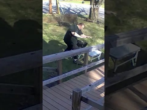He Just Wanted an Invite to the Barbecue! #squirrel #wildlife #bbq #falls #shorts