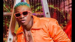 rayvanny ft zlatan ibile juju official video 