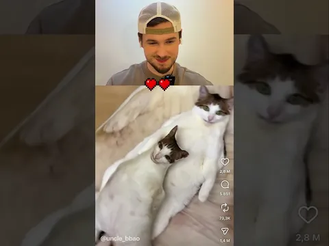The Last Clip💀 #funny #haha