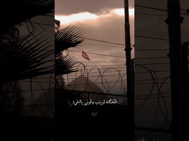 ⁣الحگ لزينب ولوني يااخي 💔 هذا يوم الخوه موش افراگها ! | ملا قحطان البديري