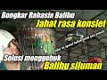 Lagu bongkar rahasia setingan lovebird balibu jahad rasa konslet